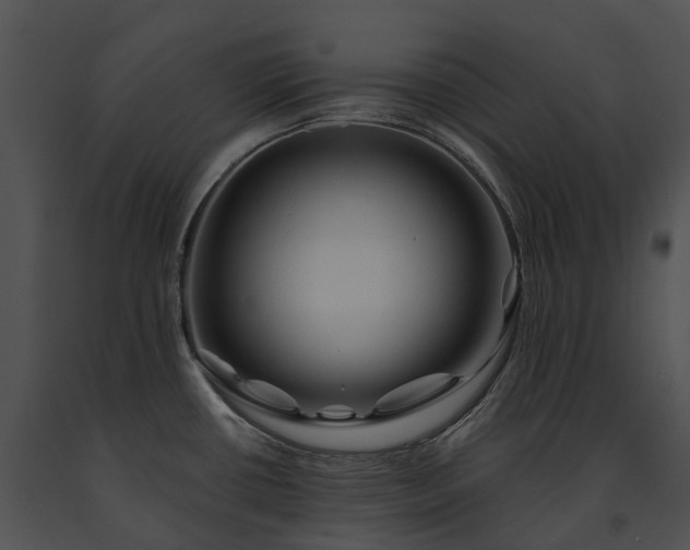 X0000091671434200708301450
