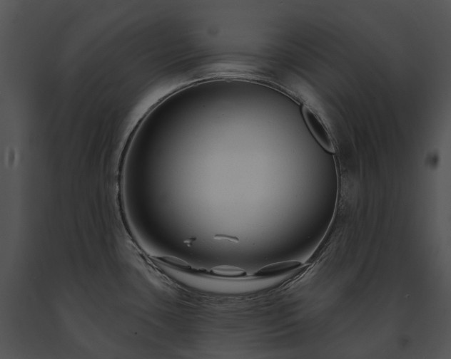 X0000091671435200708301450