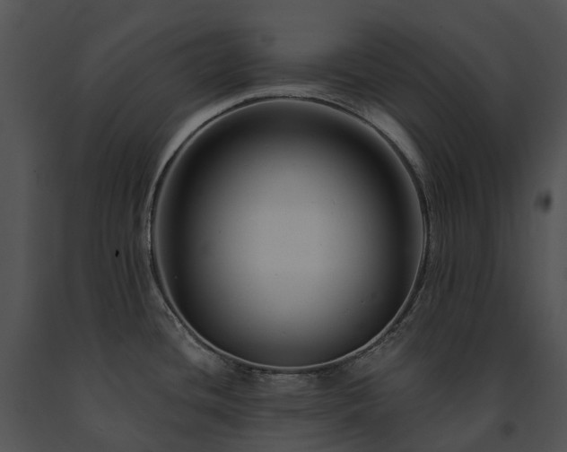 X0000091671436200708301450