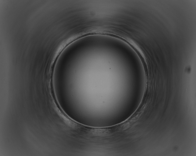 X0000091671437200708301450