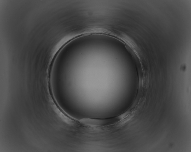 X0000091671438200708301450