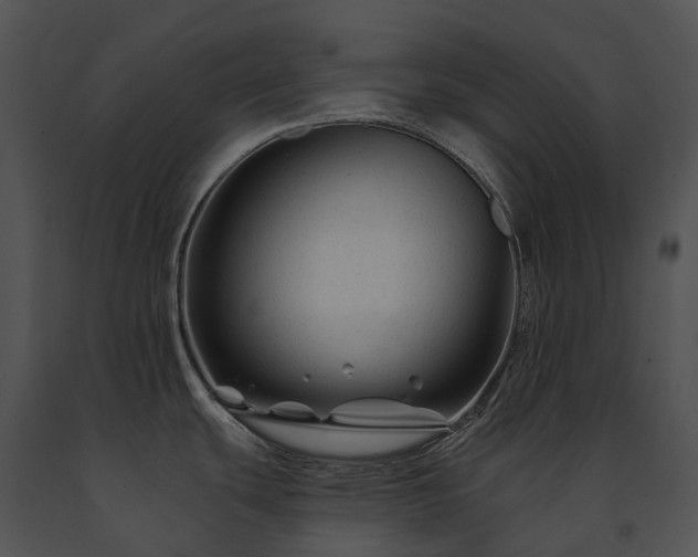 X0000091671439200708301450