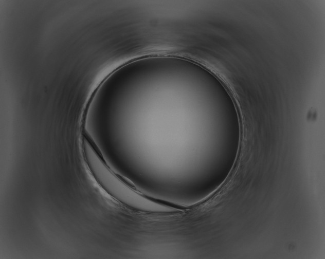 X0000091671440200708301450