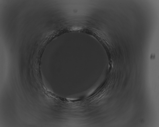 X0000091671441200708301449
