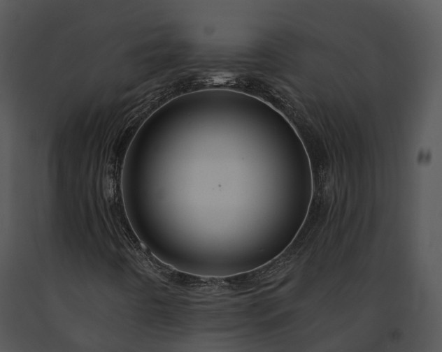 X0000091671442200708301449