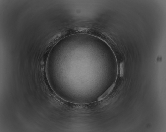 X0000091671443200708301449