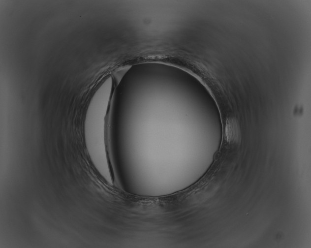 X0000091671444200708301449