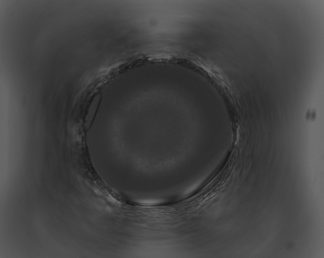 X0000091671445200708301449