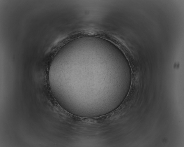 X0000091671446200708301449