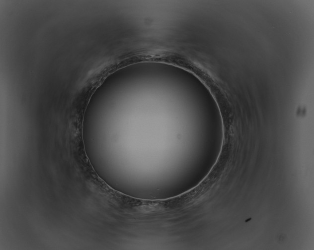 X0000091671447200708301449