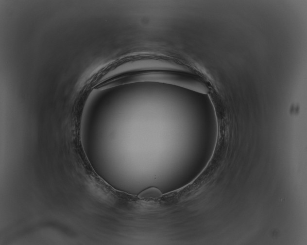 X0000091671448200708301449