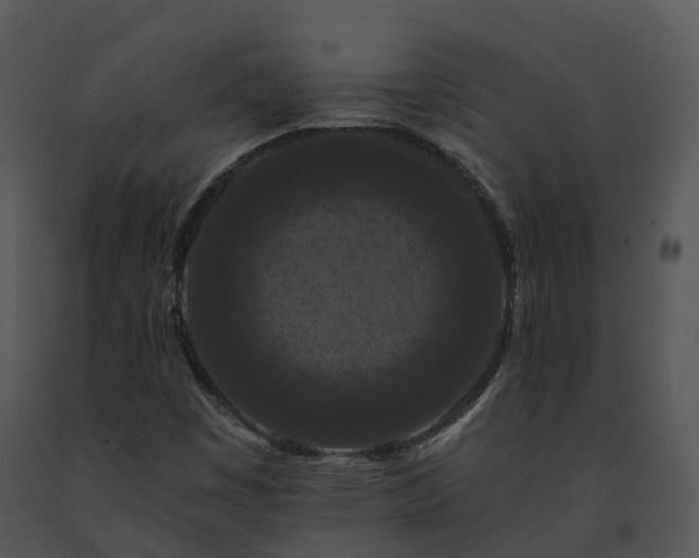 X0000091671449200708301449