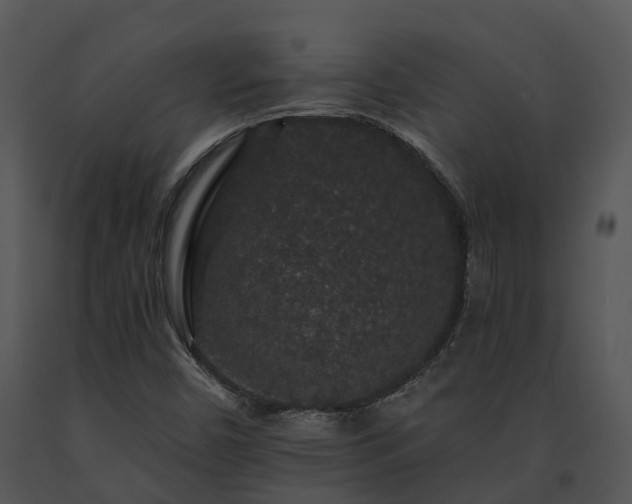 X0000091671450200708301449