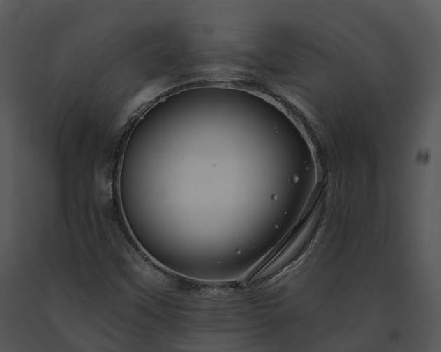 X0000091671451200708301449