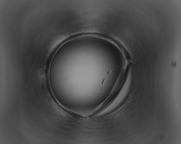 X0000091671452200708301449