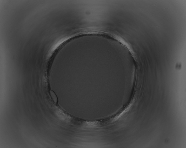 X0000091671453200708301449