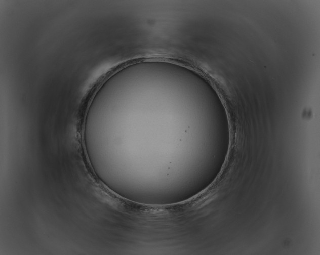 X0000091671454200708301449