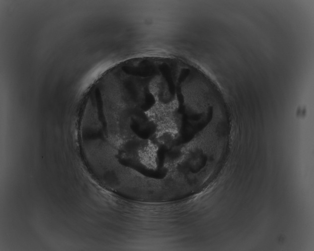 X0000091671455200708301449