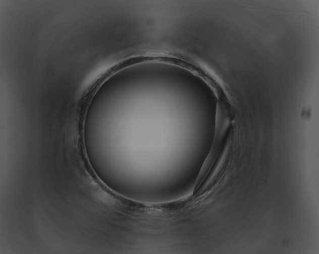 X0000091671456200708301449