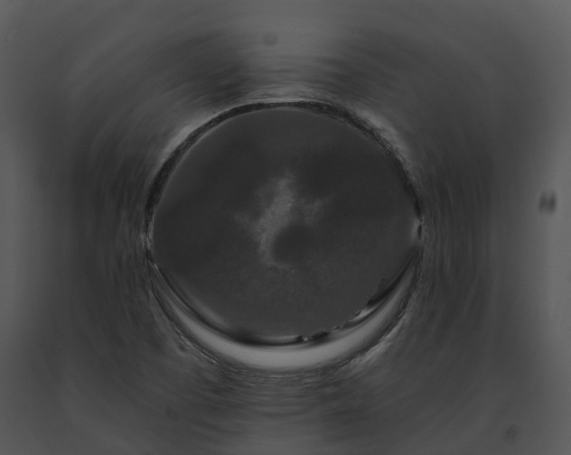 X0000091671457200708301449