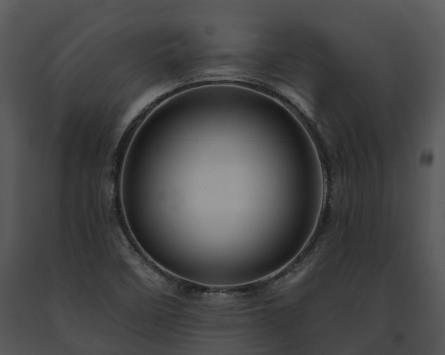 X0000091671458200708301449