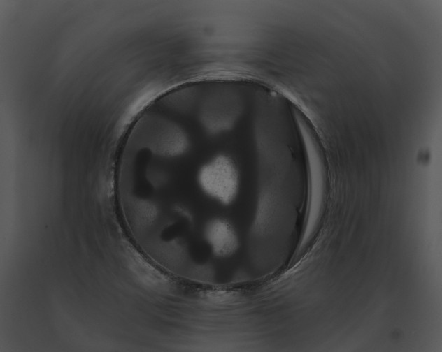 X0000091671459200708301449