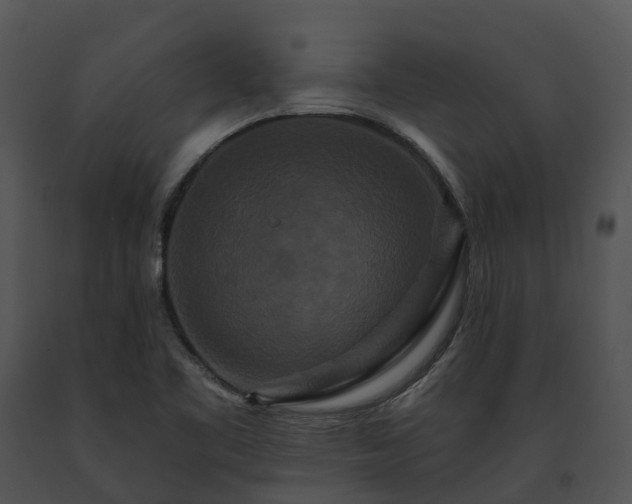 X0000091671461200708301449