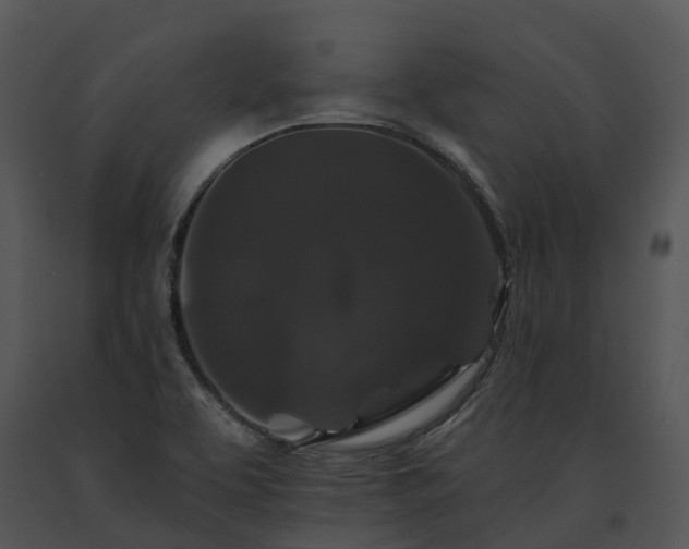 X0000091671463200708301449