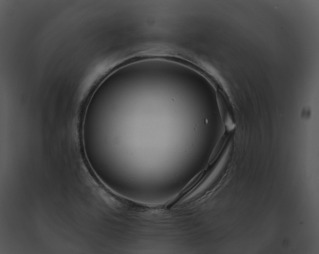 X0000091671464200708301449