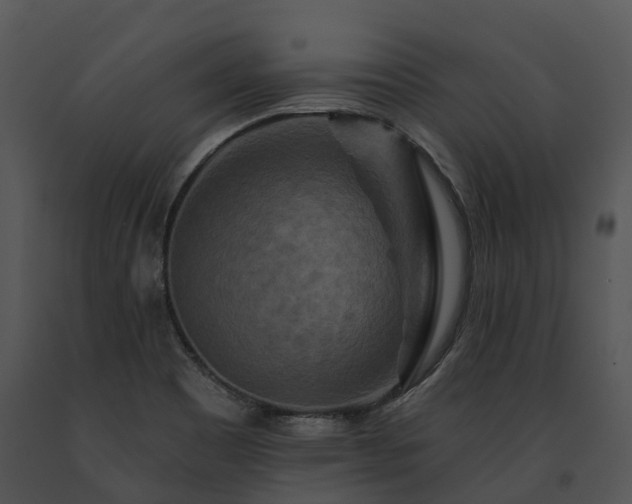 X0000091671465200708301449