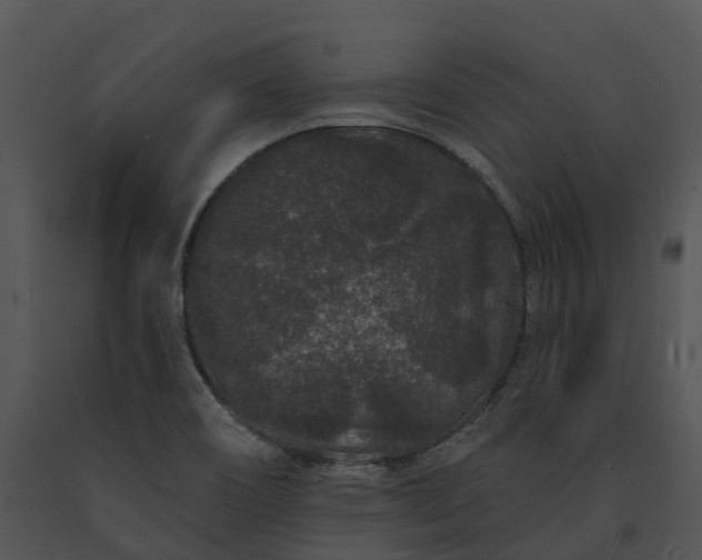 X0000091671466200708301449