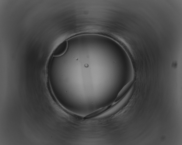 X0000091671467200708301449