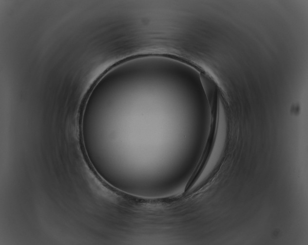X0000091671468200708301449