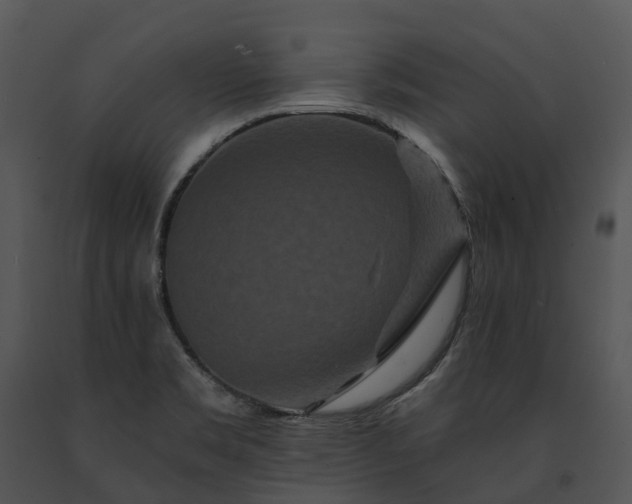 X0000091671469200708301449