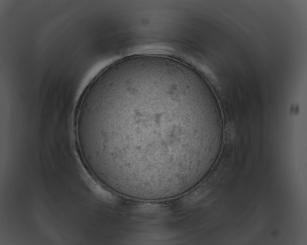 X0000091671470200708301449