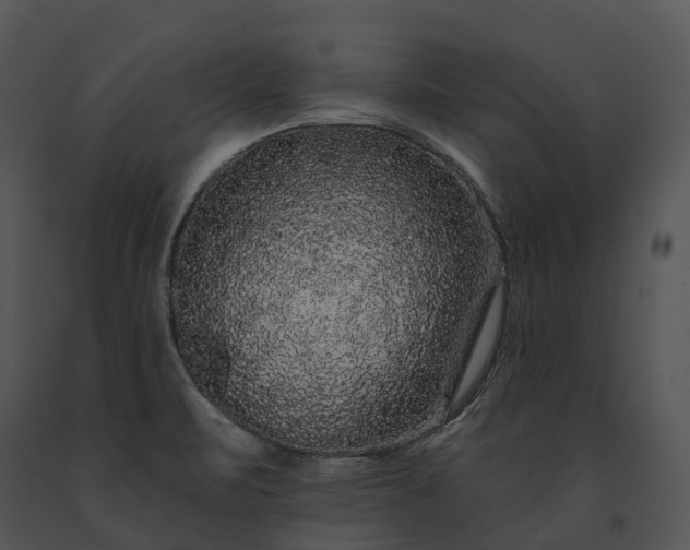 X0000091671471200708301449