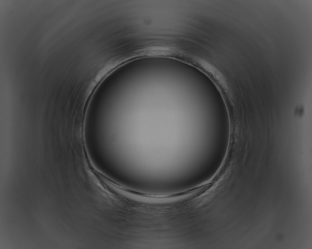 X0000091671473200708301449