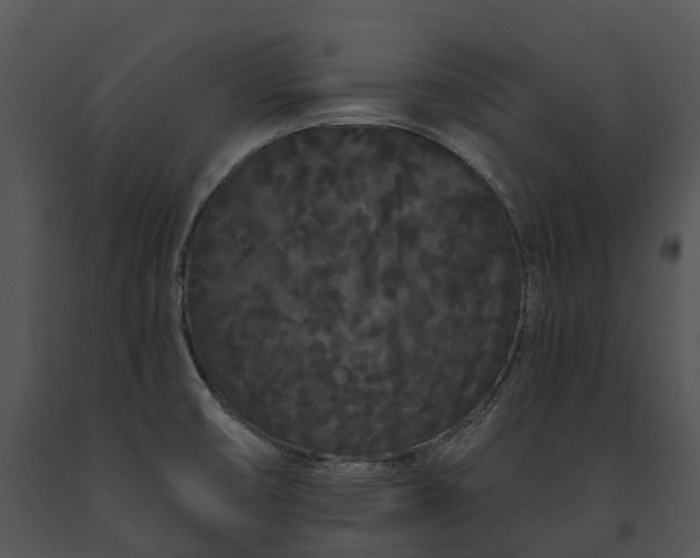 X0000091671474200708301449