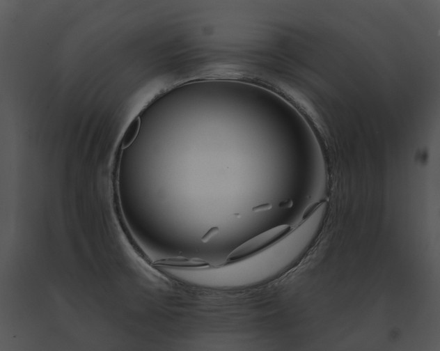 X0000091671475200708301449