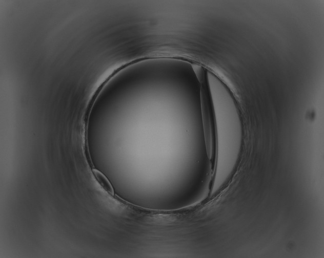 X0000091671476200708301449