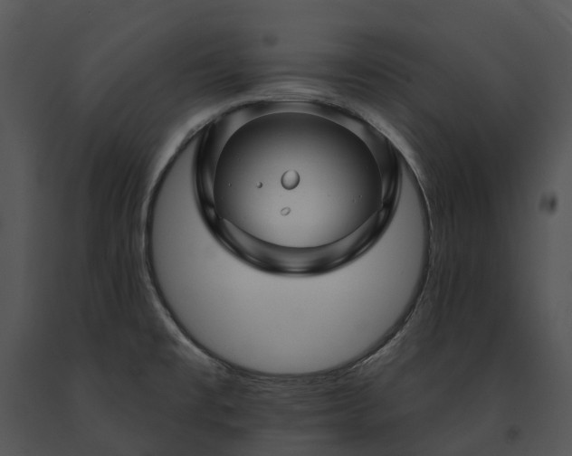 X0000091671477200708301449
