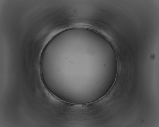 X0000091671478200708301449