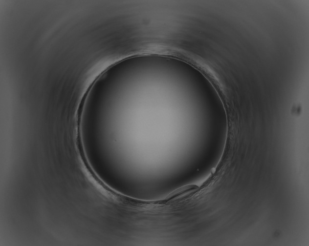 X0000091671479200708301449
