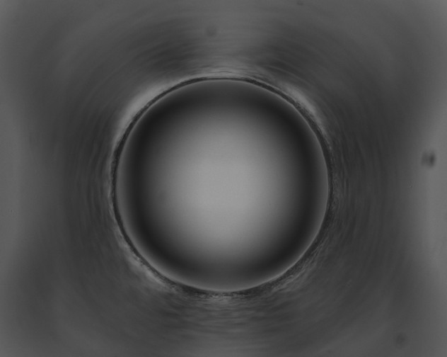X0000091671480200708301449