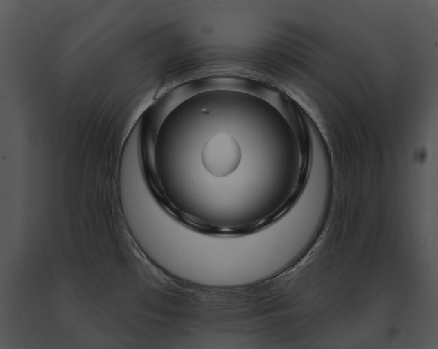 X0000091671481200708301449