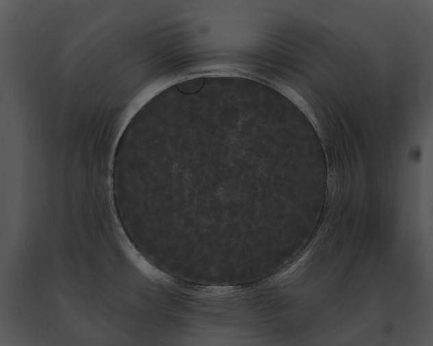 X0000091671482200708301449