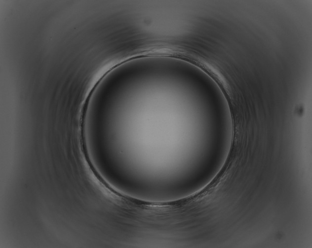 X0000091671483200708301449