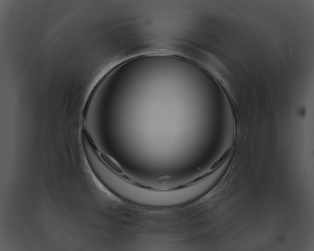 X0000091671484200708301449