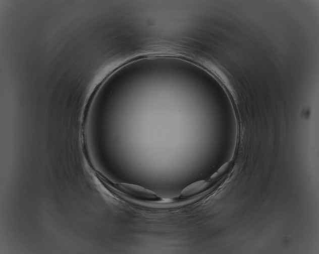 X0000091671485200708301449