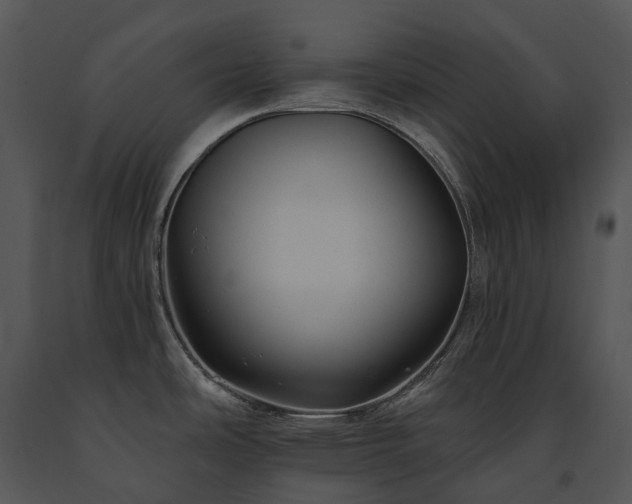 X0000091671486200708301449
